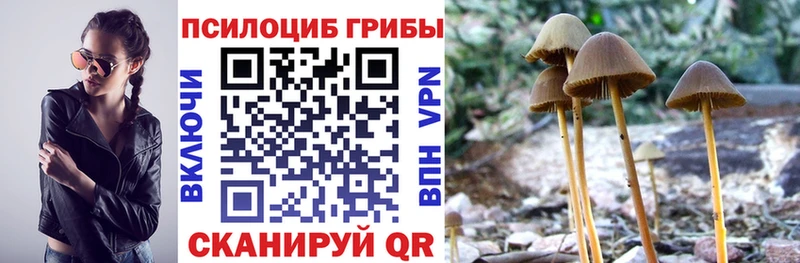 Галлюциногенные грибы GOLDEN TEACHER  Белорецк 