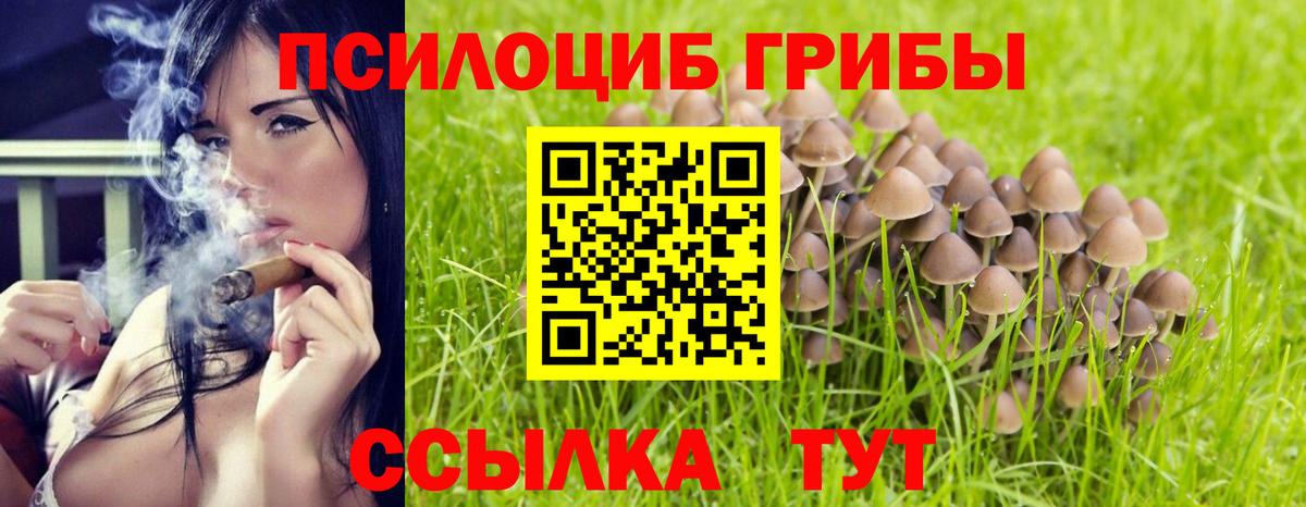 Галлюциногенные грибы прущие грибы Белорецк