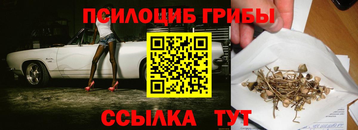 Белорецк  Псилоцибиновые грибы мицелий  Вход с VPN 